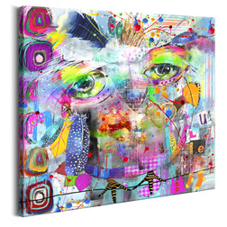 Kép - Colourful Owl