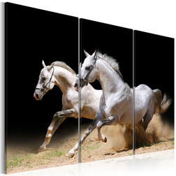 Kép - Horses- power and velocity