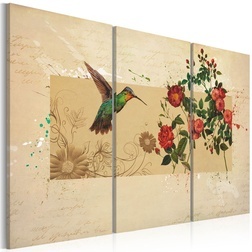 Kép - Hummingbird and roses