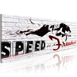 Kép - Speed is freedom