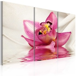 Kép - Unusual orchid - triptych