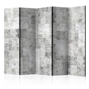 Paraván - Concrete: Grey City II [Room Dividers]