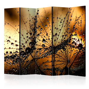 Paraván - Dandelions in the Rain II [Room Dividers]