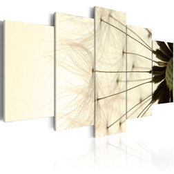 Kép - Delicate dandelion petals