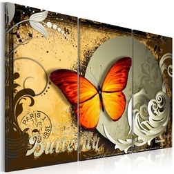 Kép - Flight of a butterfly