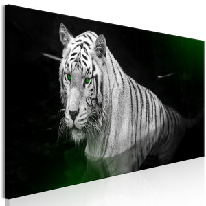 Kép - Shining Tiger (1 Part) Green Narrow