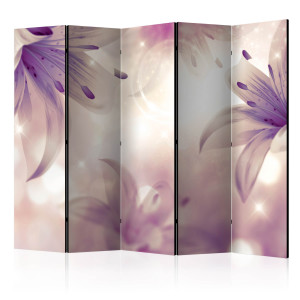 Paraván - Ballad about Gentleness II [Room Dividers]