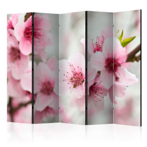 Paraván - Spring, blooming tree - pink flowers II [Room Dividers]