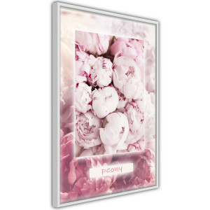 Plakát - Scent of Peonies