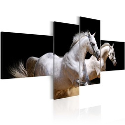 Kép - Animal world- white horses galloping