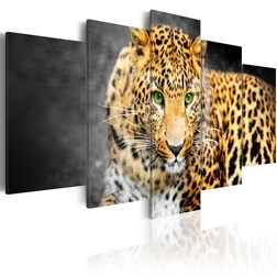 Kép - Green-eyed leopard