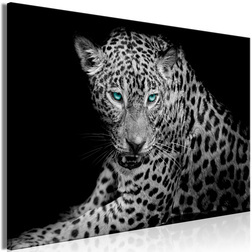 Kép - Leopard Portrait (1 Part) Wide