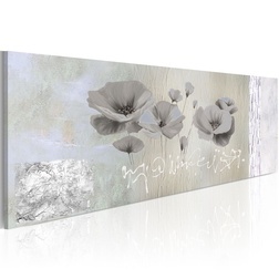 Kép - Poppies in hibernation