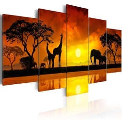 Kép - Savanna - sunset