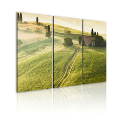 Kép - Under the Tuscan Sun