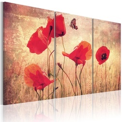 Kép - Vintage poppies
