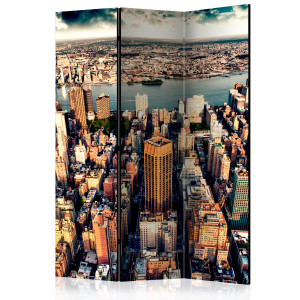 Paraván - Bird's Eye View of New York [Room Dividers]