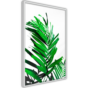 Plakát - Emerald Palm