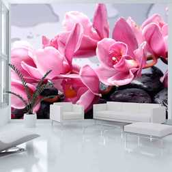 Fotótapéta - Orchidea virág zen kövek