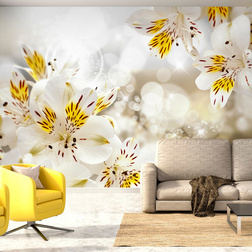 Fotótapéta - Sunny Alstroemeria