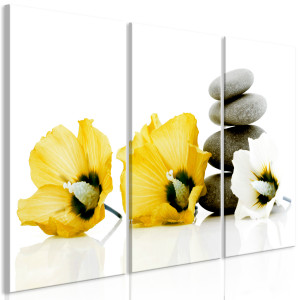Kép - Calm Mallow (3 Parts) Yellow