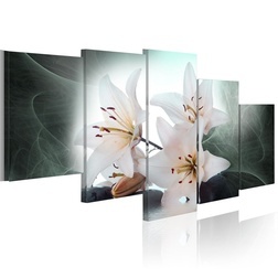 Kép - Chilly lilies