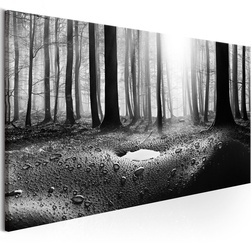 Kép - Forest after Rain (1 Part) Narrow