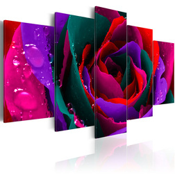 Kép - Multicoloured rose