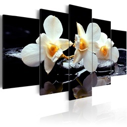 Kép - Orchids with orange accent