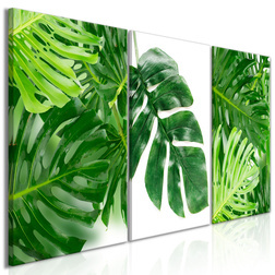 Kép - Palm Leaves (3 Parts)