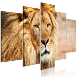 Kép - The King of Beasts (5 Parts) Wide Orange