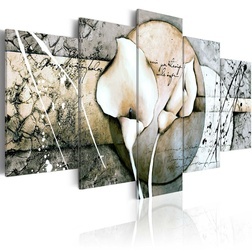 Kép - The Secret of Calla Lily - Grey