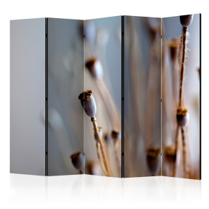 Paraván - Poppy heads II [Room Dividers]