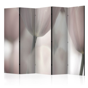 Paraván - Tulips fine art - black and white II [Room Dividers]