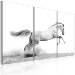 Kép - A galloping horse