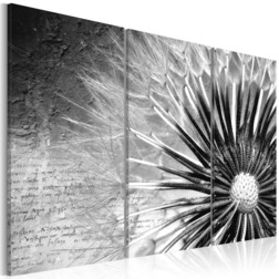 Kép - dandelion (black and white)