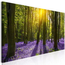 Kép - Hyacinth Field (1 Part) Narrow