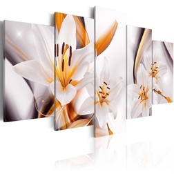 Kép - Lilium regale