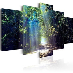 Kép - Sunny Forest Path