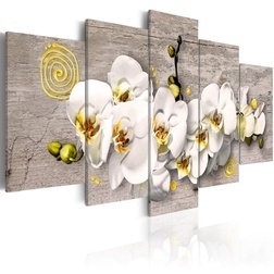 Kép - Sunny orchids - 5 pieces