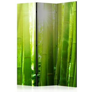 Paraván - Sun and bamboo [Room Dividers]