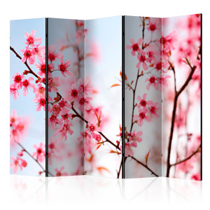 Paraván - Symbol of Japan - sakura flowers II [Room Dividers]