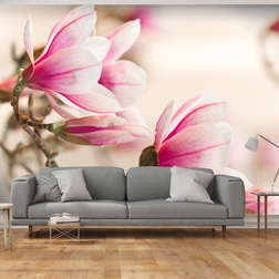 Fotótapéta - Branch of magnolia tree