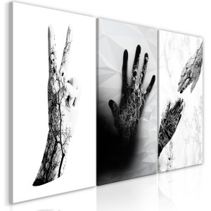 Kép - Female Hands (3 Parts)