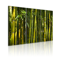 Kép - Green bamboo
