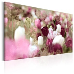 Kép - Meadow of Tulips
