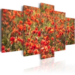 Kép - Red poppies on green meadow
