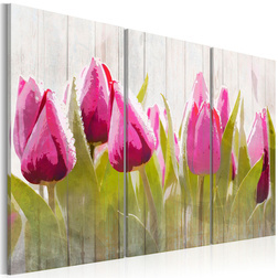 Kép - Spring bouquet of tulips