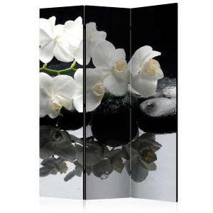 Paraván - Spa, Stones and Orchid [Room Dividers]