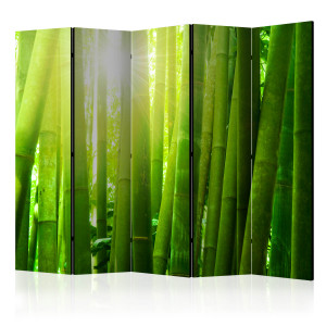 Paraván - Sun and bamboo II [Room Dividers]
